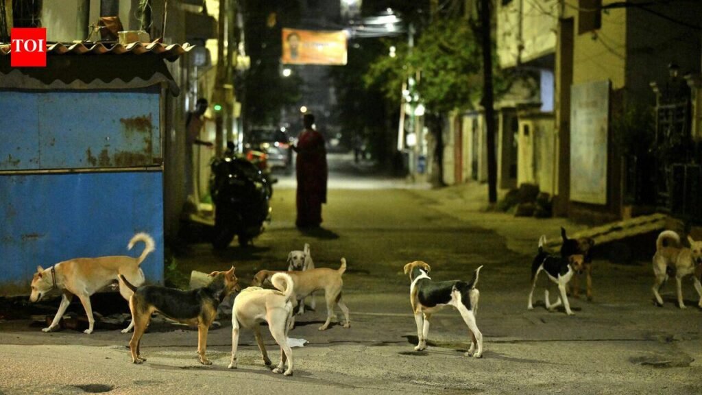 Goa records zero animal rabies cases despite 39 in neighbouring states | Goa News