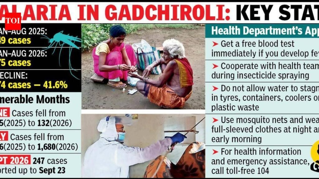 Gadchiroli Malaria Cases Dip 41.6% Amid Stepped-Up Vigil | Nagpur News