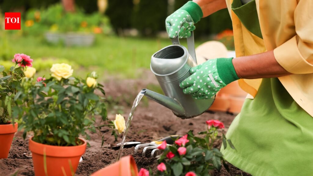 Before buying another plant, fix these 5 common garden problems first