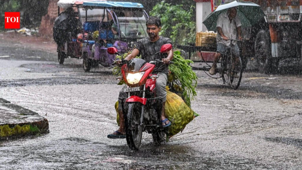 Weather tomorrow: IMD warns of heavy rain in Northeast, Karnataka, Tamil Nadu; thunderstorms likely | Delhi News