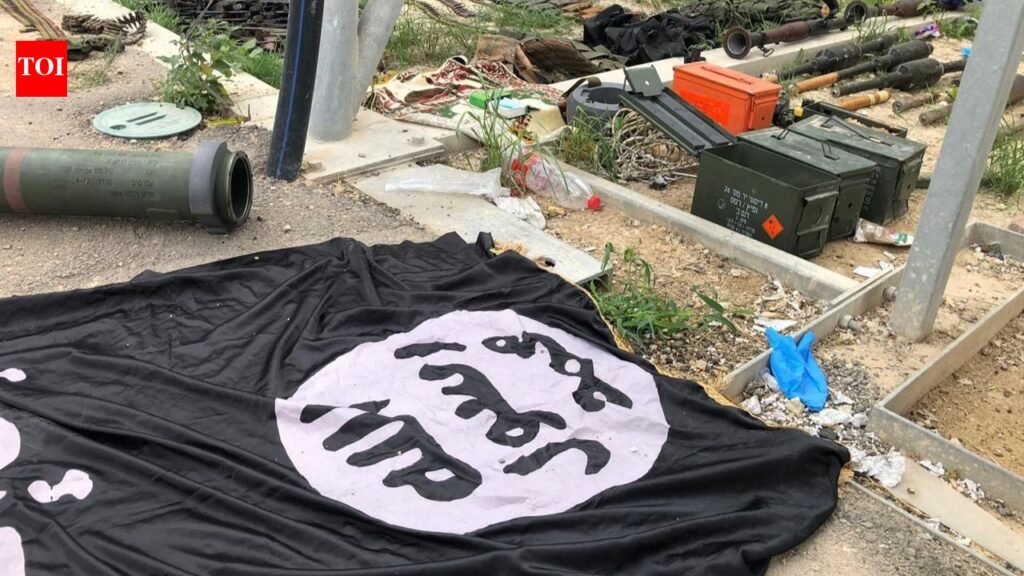 ‘Naive gamer’ to IS sympathiser: How US teen Daniel Fischer was radicalised