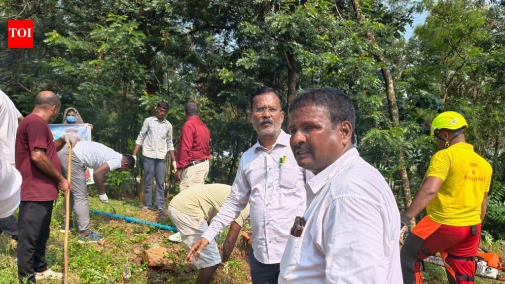 Clean-up drive at Tara Tarini temple ahead of Navratri | Bhubaneswar News