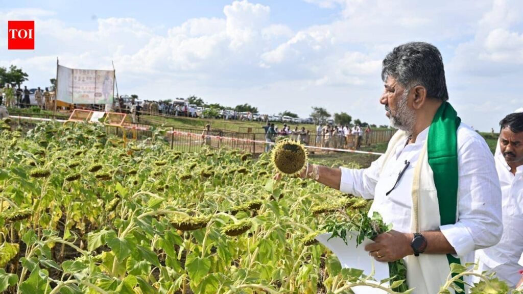 Govt readies fresh drought relief pitch as central teams set to visit | Bengaluru News