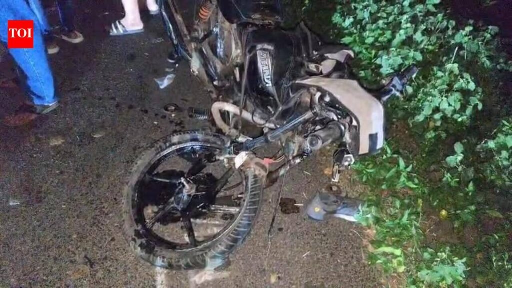 Three killed as two bikes collide on Anand-Borsad Road | Vadodara News