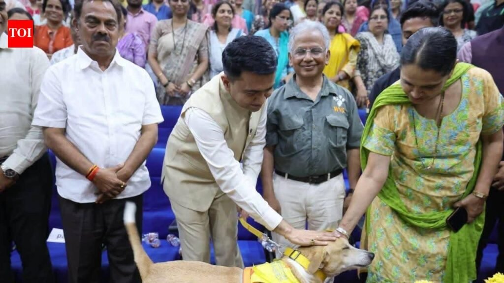 Stray dogs on beaches to be lifted, rehabilitated: Sawant | Goa News
