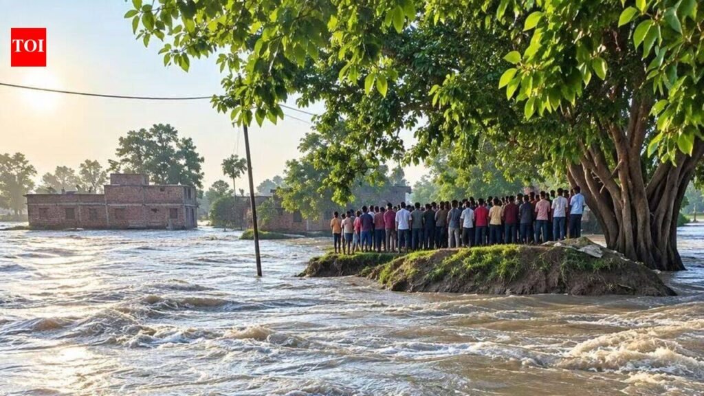 Three Gandak breaches leave villages at risk in West Champaran | Patna News