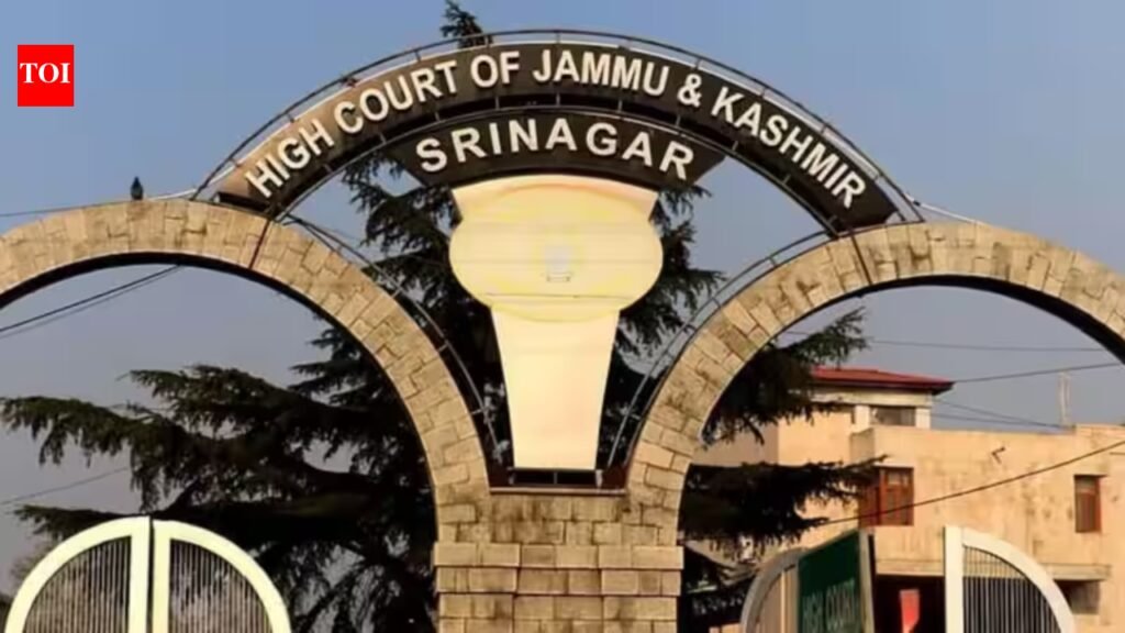 Can’t deny employee security clearance based on kin’s antecedents: J&K high court | India News