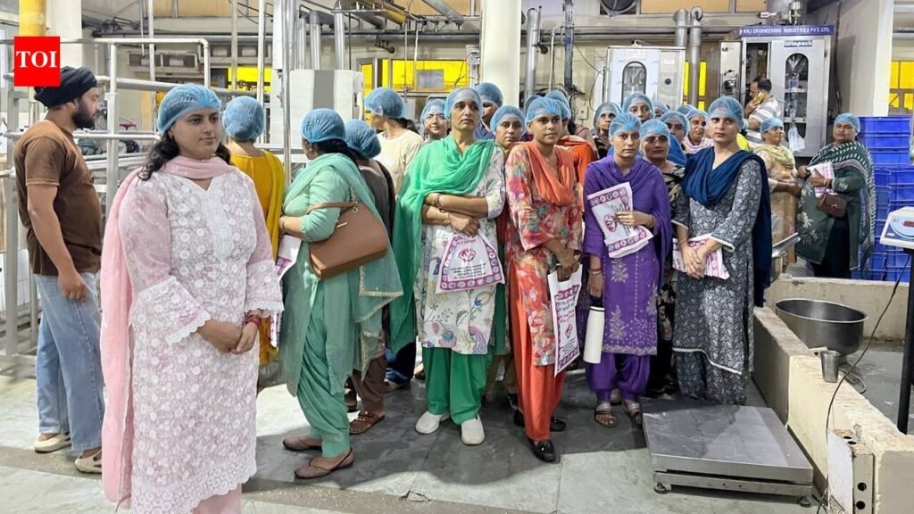 Vet varsity trains 56 women to build profitable dairy business | Ludhiana News