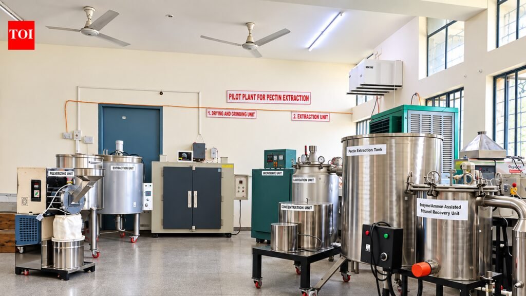 Agri varsity develops tech to turn citrus peels into pectin | Ludhiana News