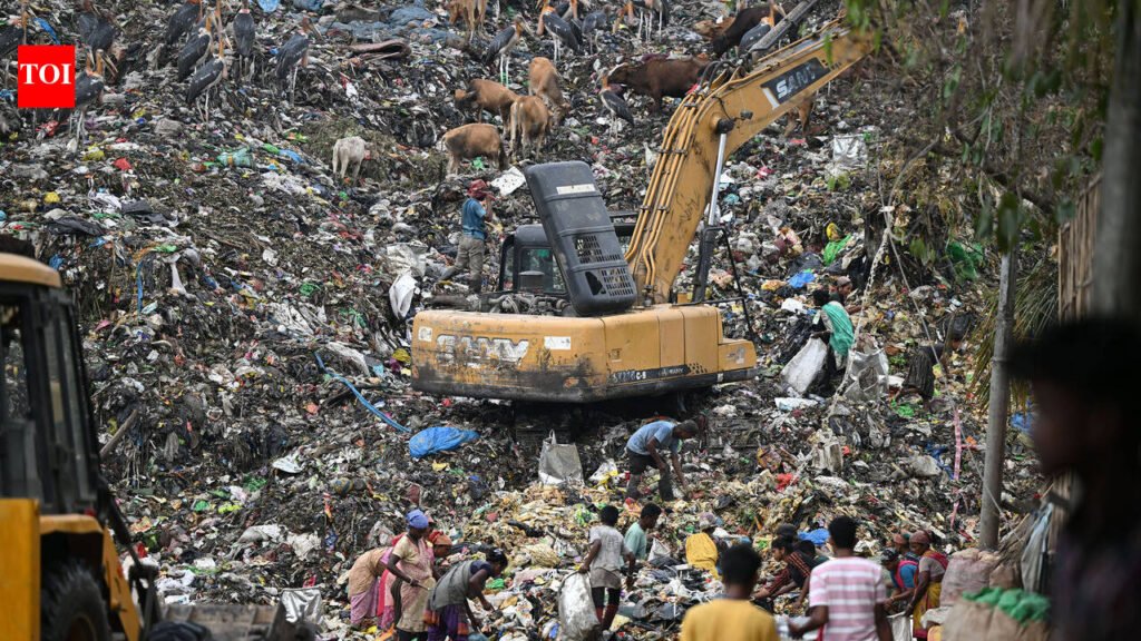 Sanitary, dry, wet, special: Assam plans four-way split; steps up its war on waste | Guwahati News