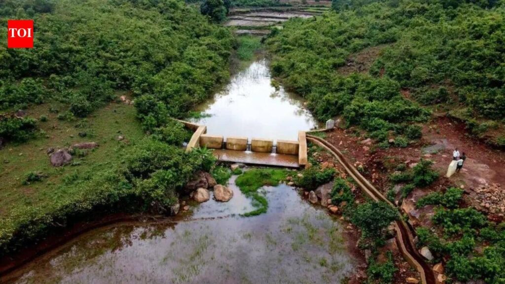 ₹4.26 crore spent on ‘new’ check dams at existing sites, CAG flags possible fraud | Bhubaneswar News