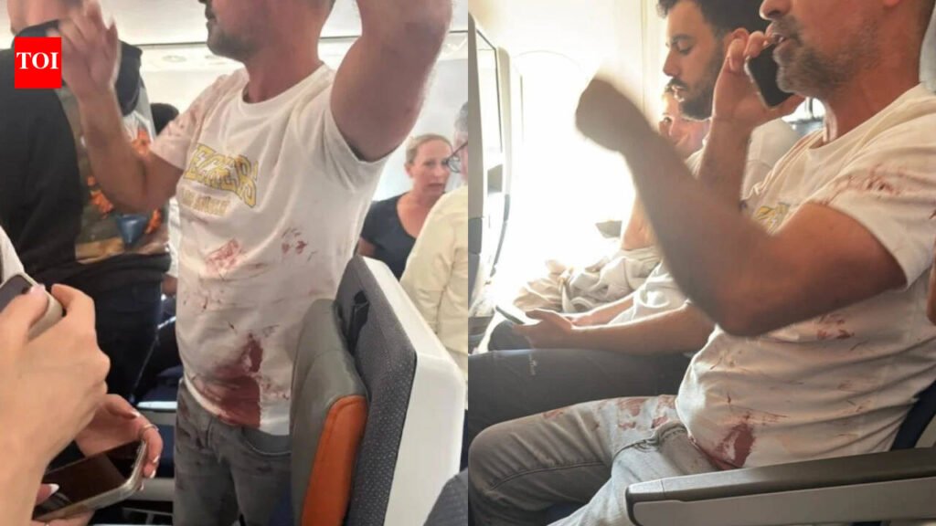 Boeing 737 Max: Pilot stabbed, blood in cockpit: Passengers recall harrowing ordeal on Flydubai flight that nearly crashed