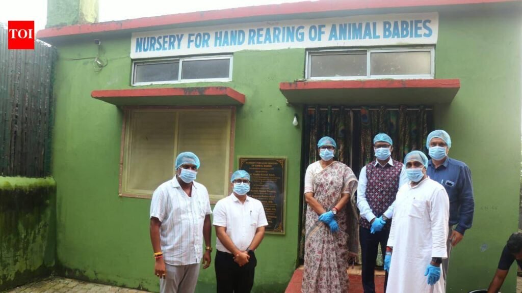 Orangutans to stay in Nandankanan till probe ends: forest min | Bhubaneswar News
