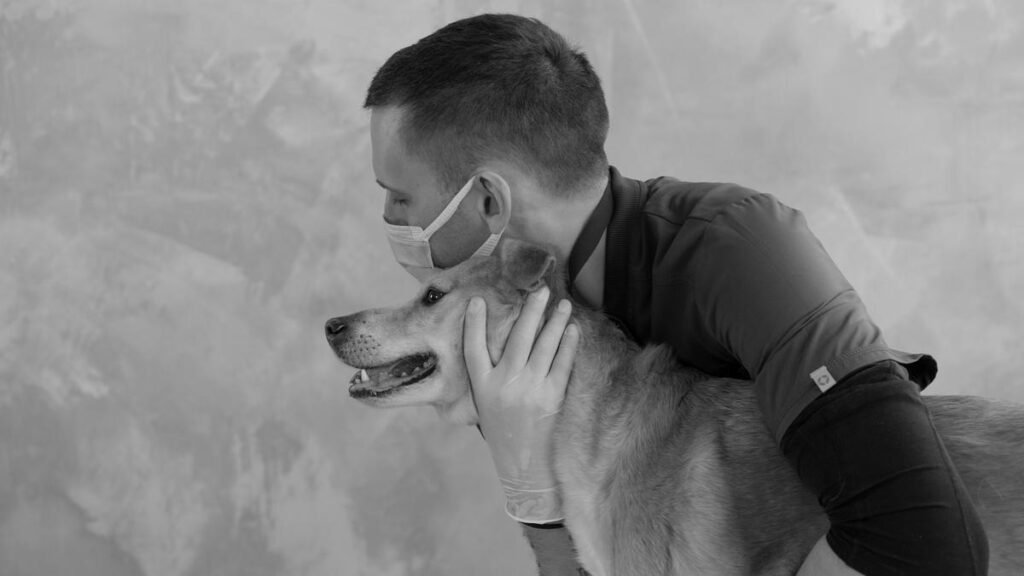Behind every treated animal, a veterinarian carrying unseen strain