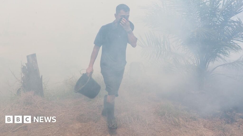 How toxic smog from wildfires is making Indonesians sick