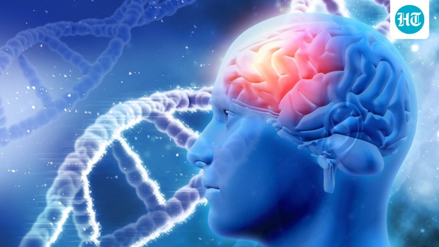 AIIMS-trained neurologist shares ‘one advice for better brain and nerve health’ that you shouldn’t ignore