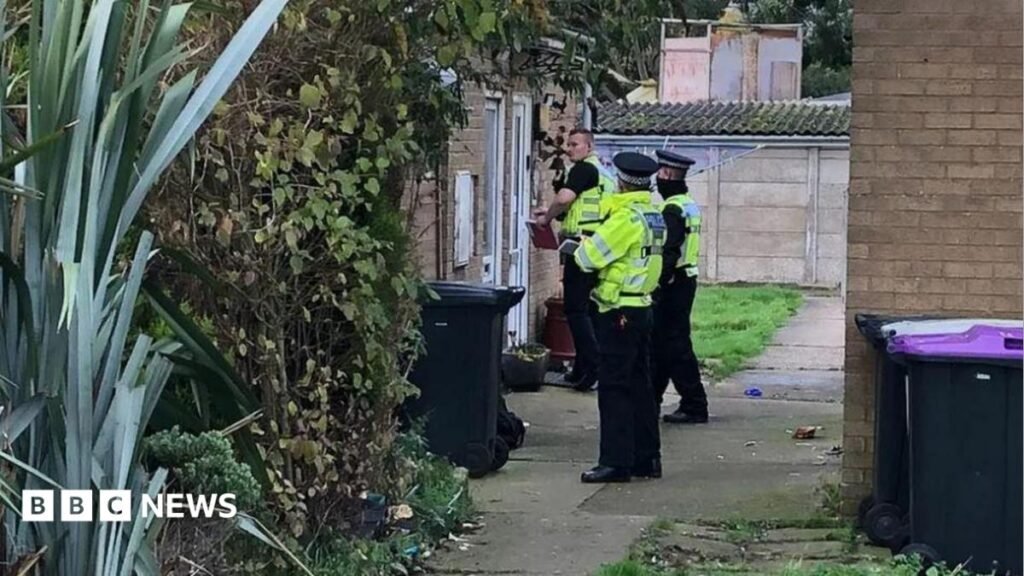 Woman detained indefinitely for stabbing two boys in Friskney
