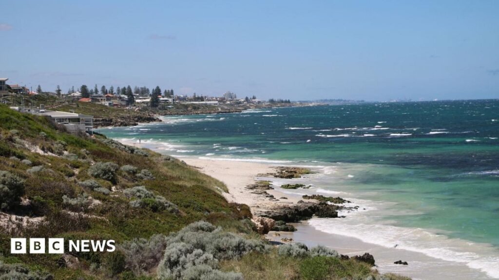 Perth shark attack: swimmer missing after incident off Sorrento Beach in Western Australia