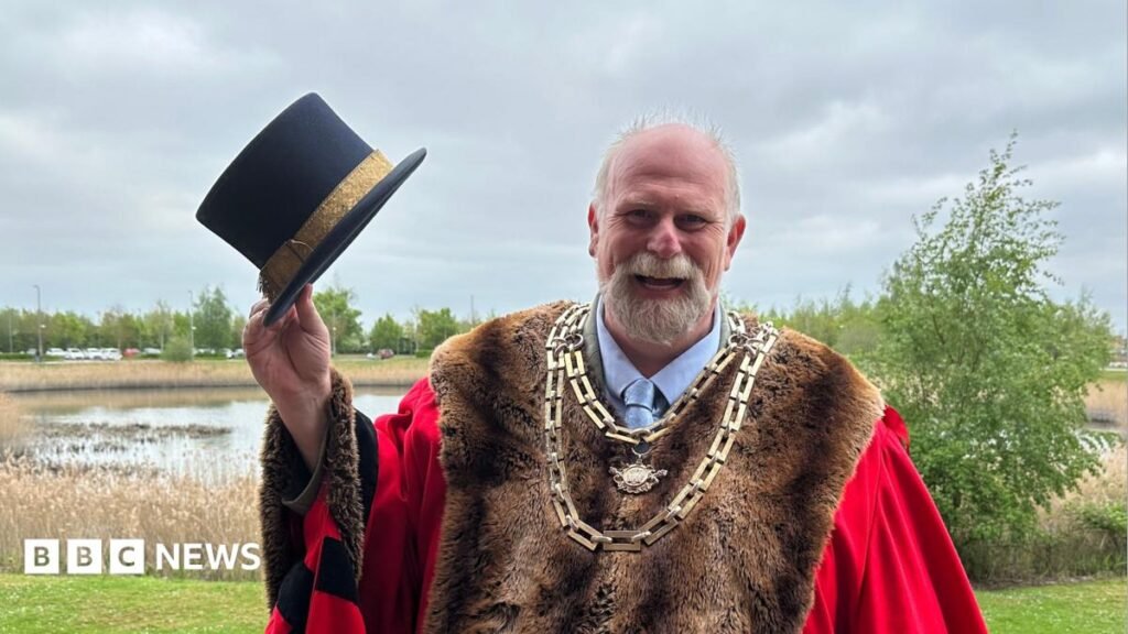 Call for £375k elected mayor referendum rejected in Bedford