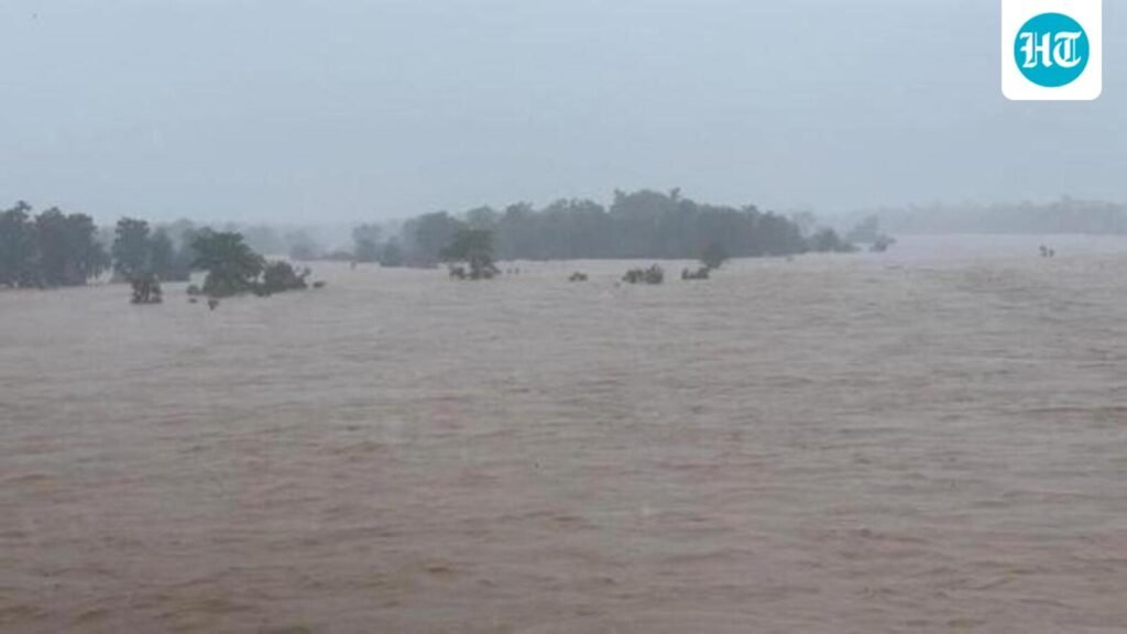 Heavy rain floods Chhattisgarh; one dead, Bastar villages cut off, schools shut in 8 districts