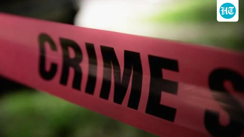 Ludhiana: 65-year-old man assaulted with pestle while searching for missing son
