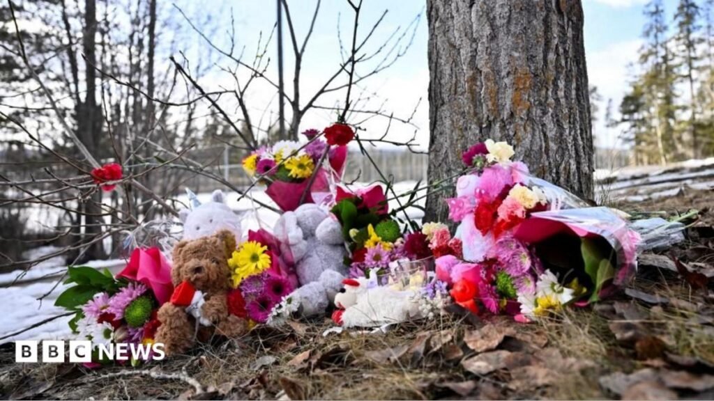 Canadian province sues OpenAI over Tumbler Ridge mass shooting