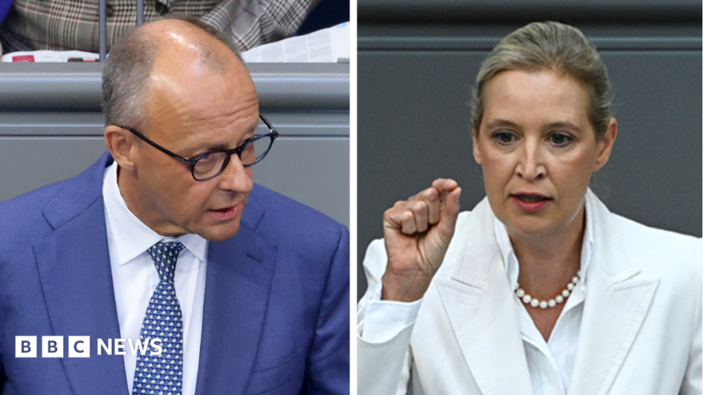Germany’s Merz attacks AfD in parliament after far-right election win