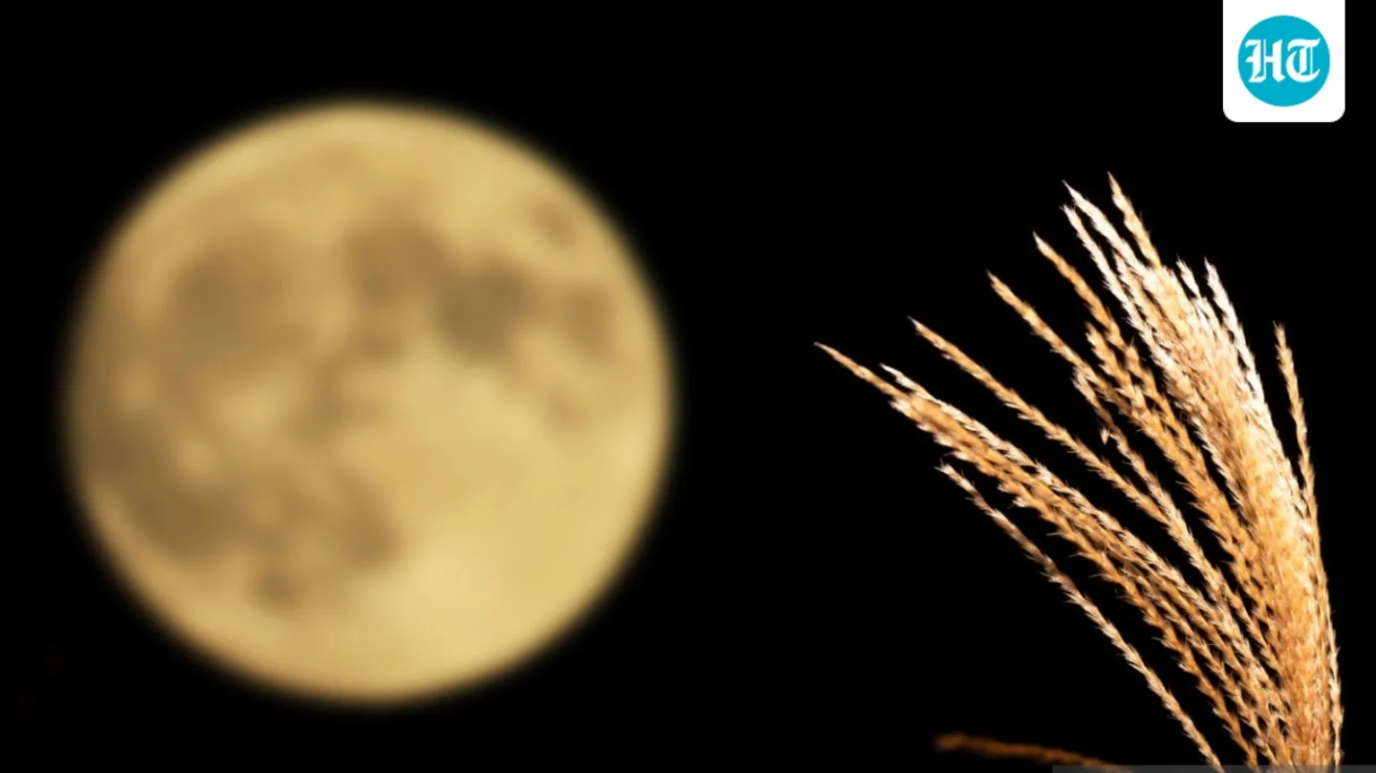 What day is the Harvest Moon in the US? Know the timings for California, New York, Connecticut, Florida and Michigan