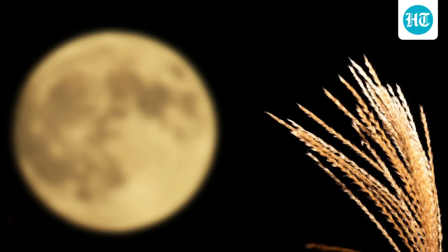 Why is the September full moon called the harvest moon? Know the timings in California, Utah, and Texas