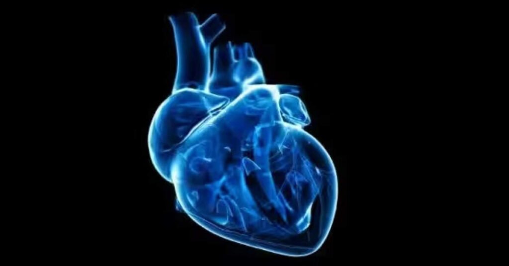 Revolutionary Study Reveals Heart Ablation’s Impact on Atrial Fibrillation Suffering Patients, ETHealthworld