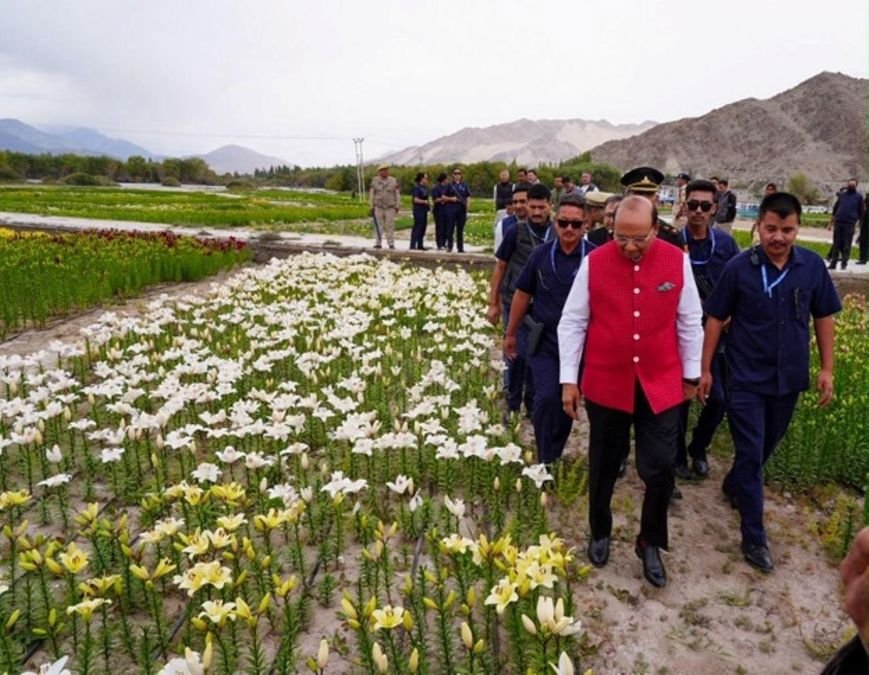 Ladakh unveils world’s highest twin flower fields