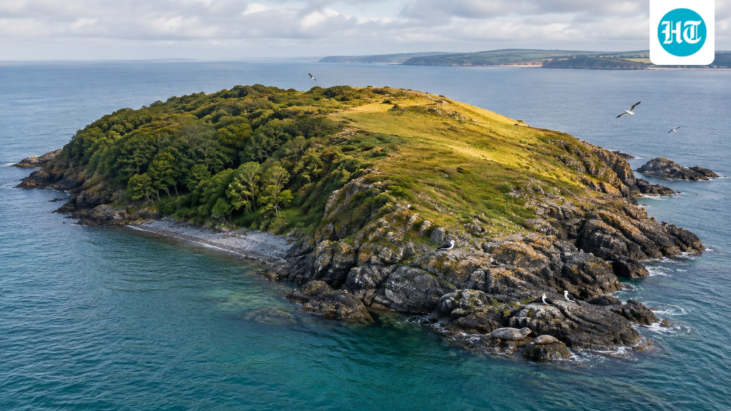 Two sisters bought a Cornish island in the 1960s, left it to a trust; today it hosts seals, gulls and butterflies