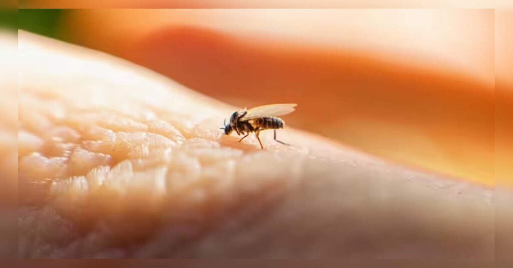 Northeast India Faces Rising Threat of Vector-Borne Diseases Amid Climate Change and Urbanization, ETHealthworld
