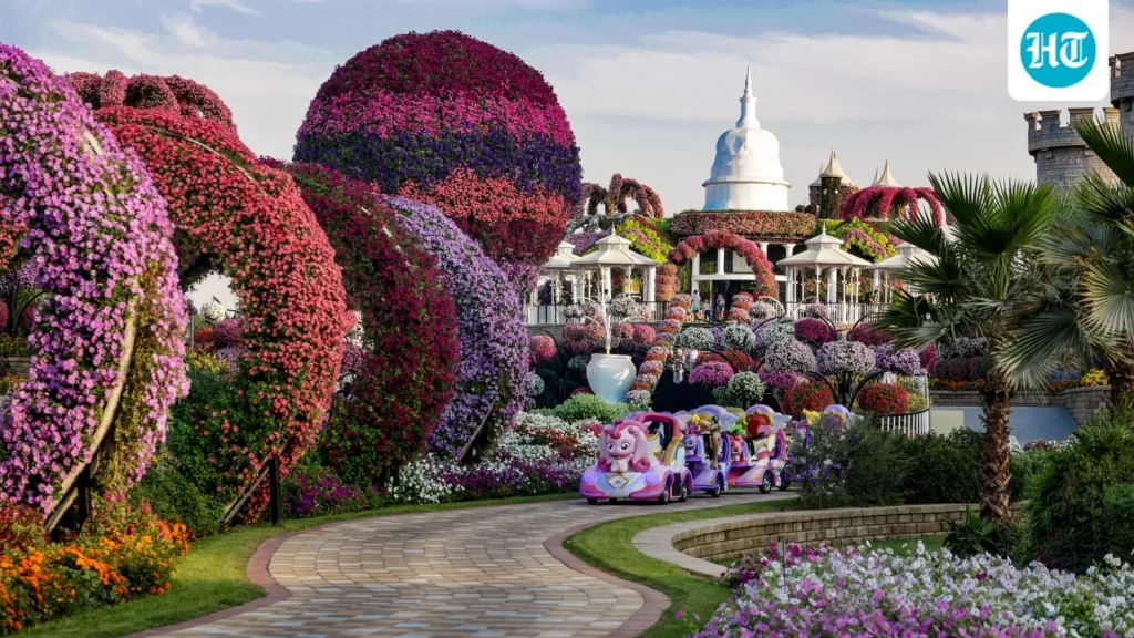 From Dubai Garden to Butchart Gardens: 5 gardens around the world that offer experiences beyond flowers and plants