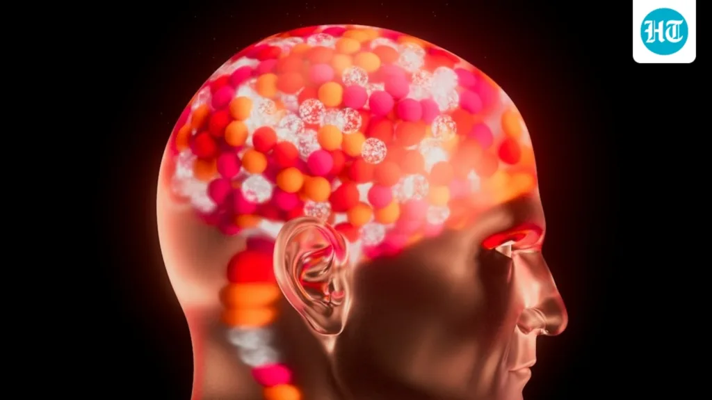 Did you know probiotics can improve cognition? Physician explains how and shares other brain boosters