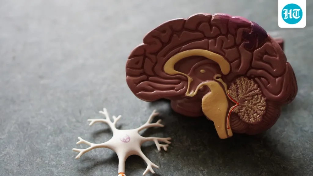 Can a 5-minute memory test detect Alzheimer’s? Neurologist shares what it can and cannot reveal