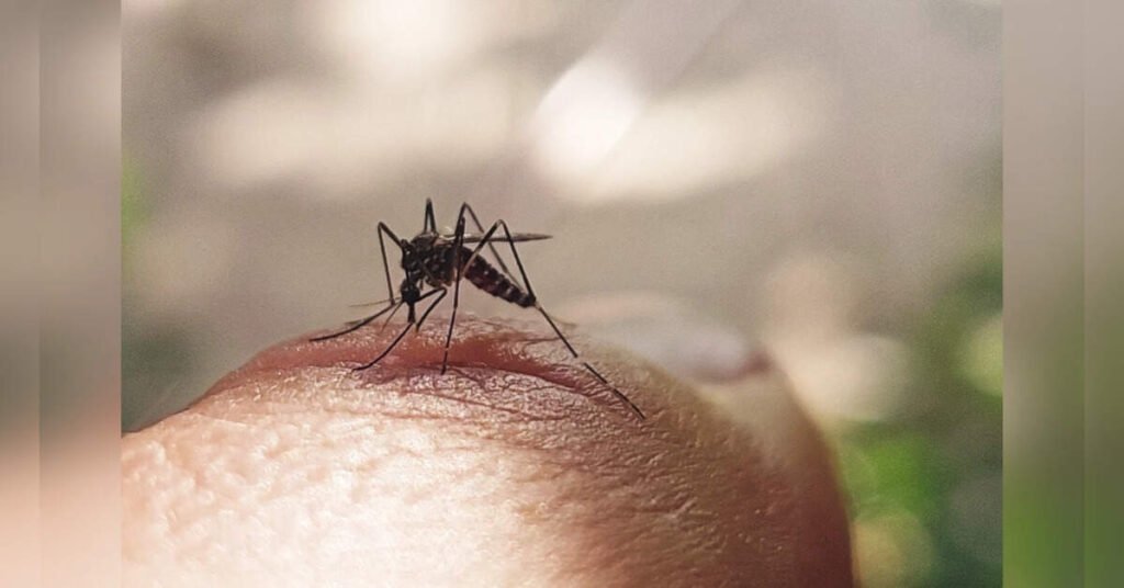 TN steps up dengue control as cases cross 17,900, ETHealthworld