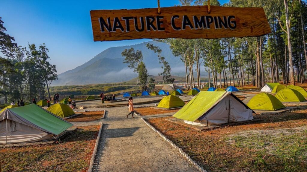 Araku Pinery adds new tourist attractions in Araku Valley