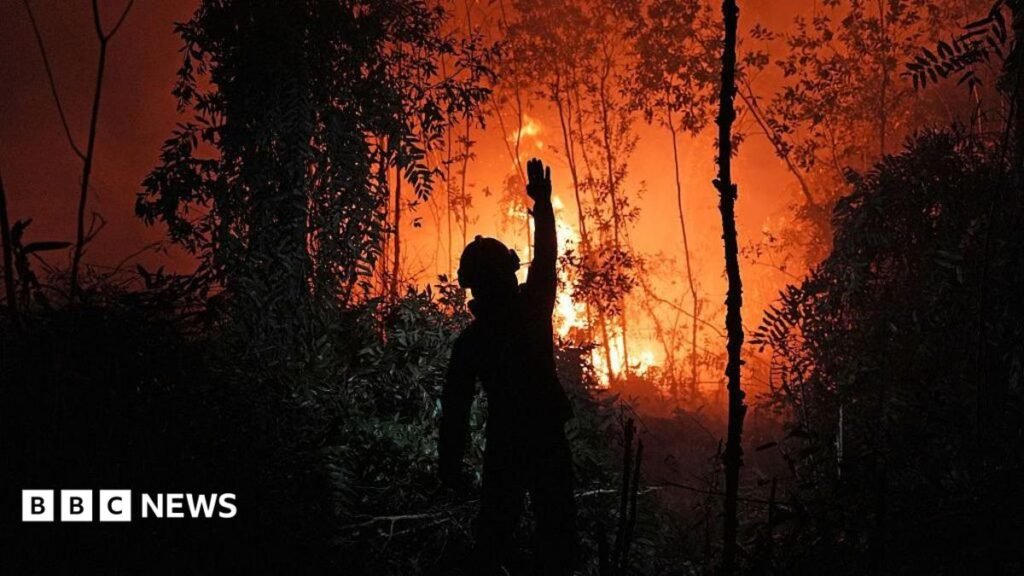 Haze: Who’s to blame for the toxic smog choking South East Asia?