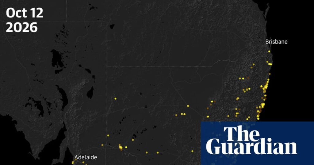 The great moth revival: how bogongs have bounced back | Insects