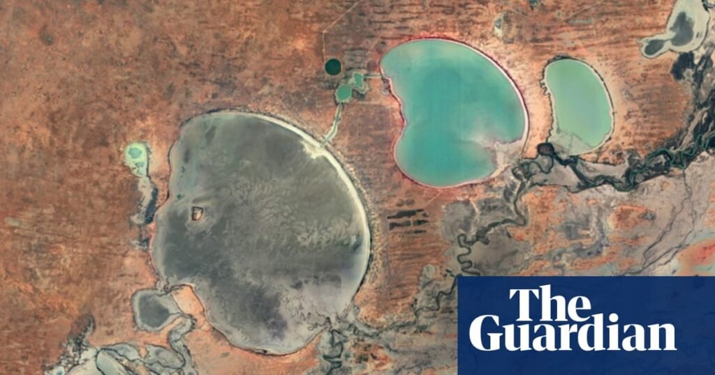 Menindee Lakes water levels drop to lowest in five years as experts warn of mass fish deaths | Murray-Darling Basin