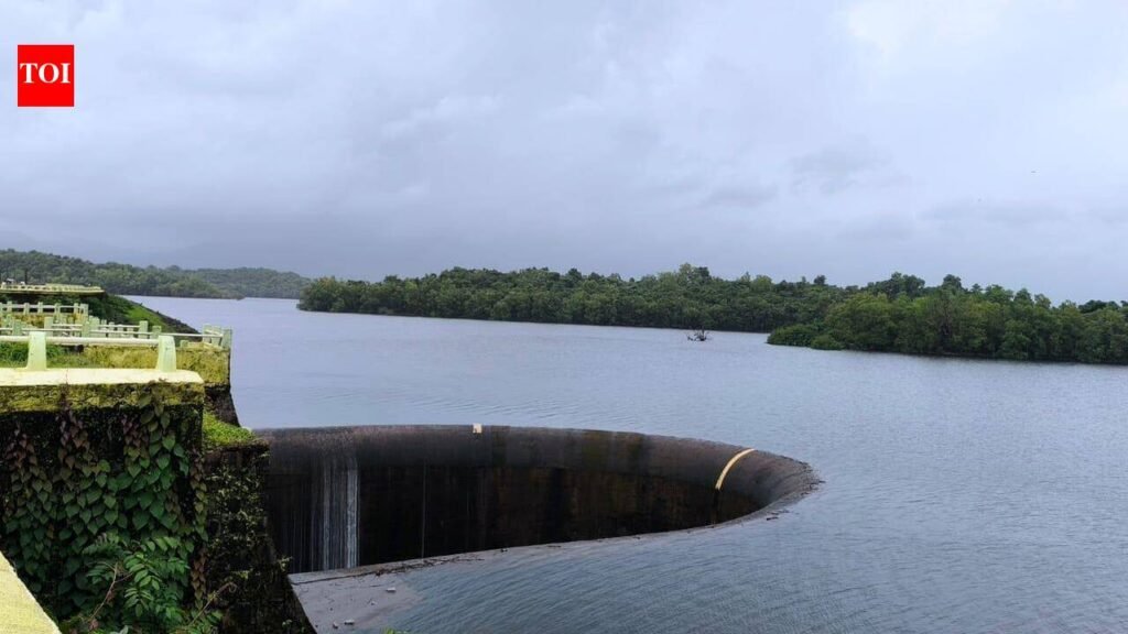 WRD taps Kushavati river to conserve Selaulim water | Goa News