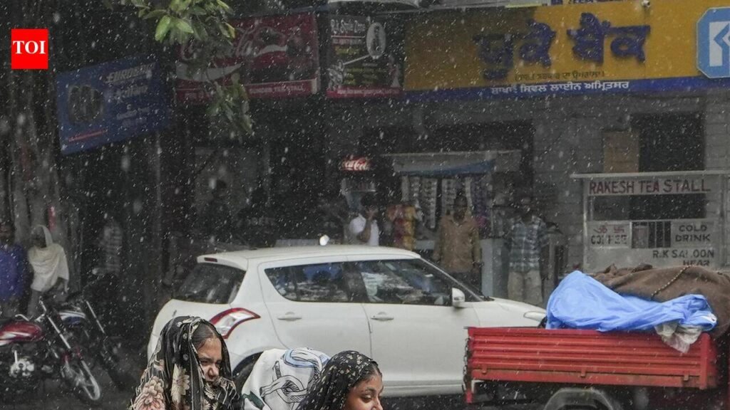 Deficient rainfall in Punjab, Haryana & HP; Oct likely to remain warmer | Chandigarh News