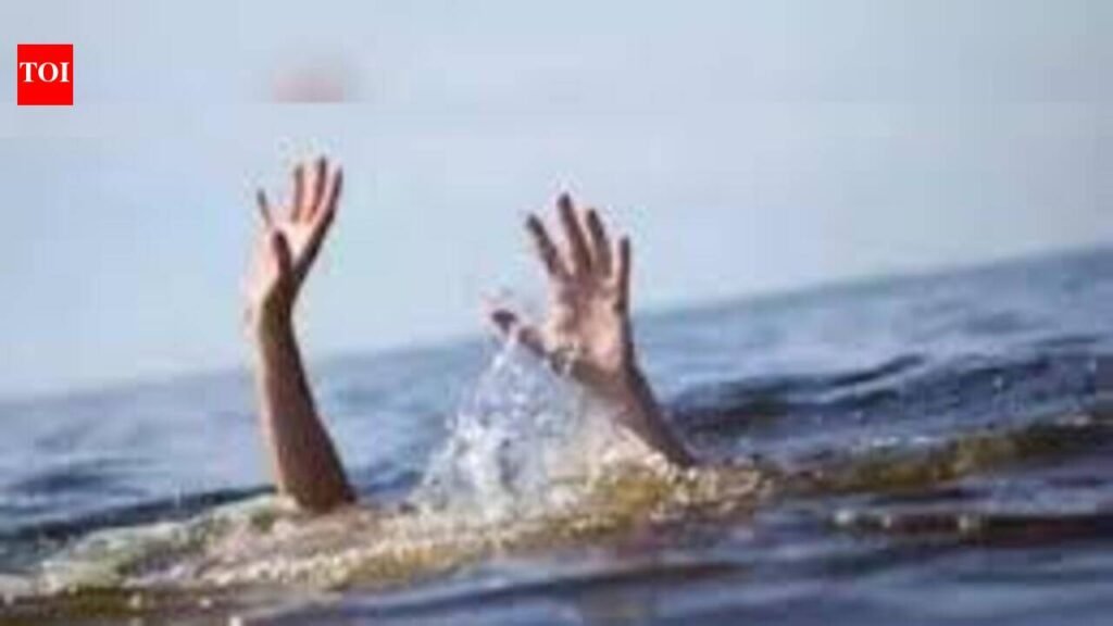 Girl drowns, another goes missing in Araria | Patna News