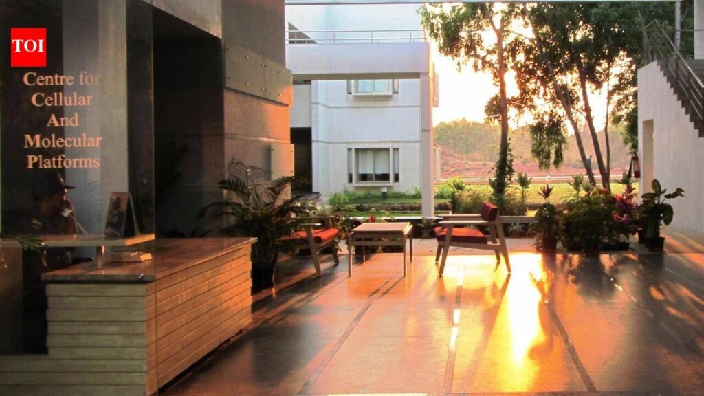 C-Camp selects 11 startups for climate solutions | Bengaluru News