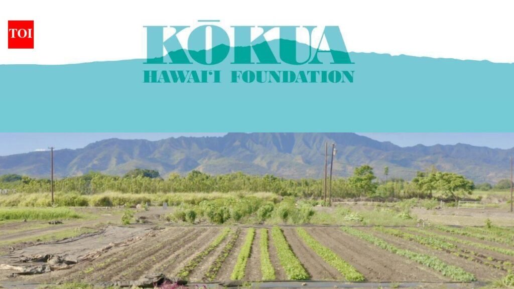 In 2019, Jack Johnson’s foundation bought neglected farmland in Hawaii; six years later, it reported over 40,000 pounds of produce harvested and more than 2,200 students welcomed on field trips