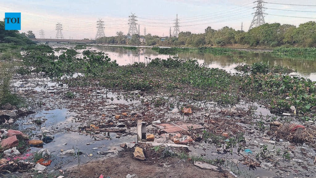NGT plea challenges Centre move to relax industry distance buffers | Noida News