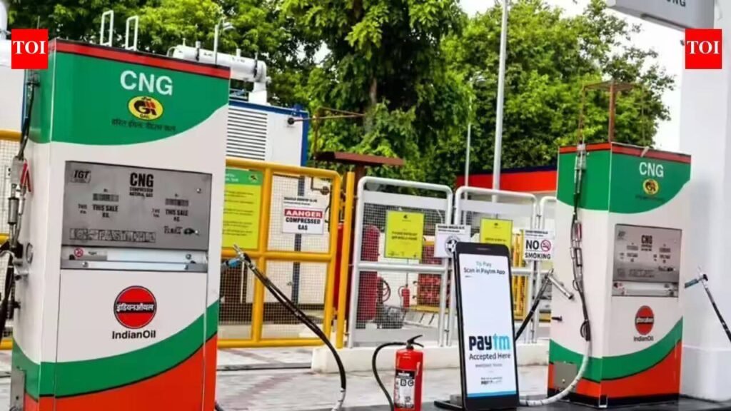 CNG prices hiked by up to Rs 3.25/kg in Lucknow, Ayodhya, Agra, Unnao | Lucknow News