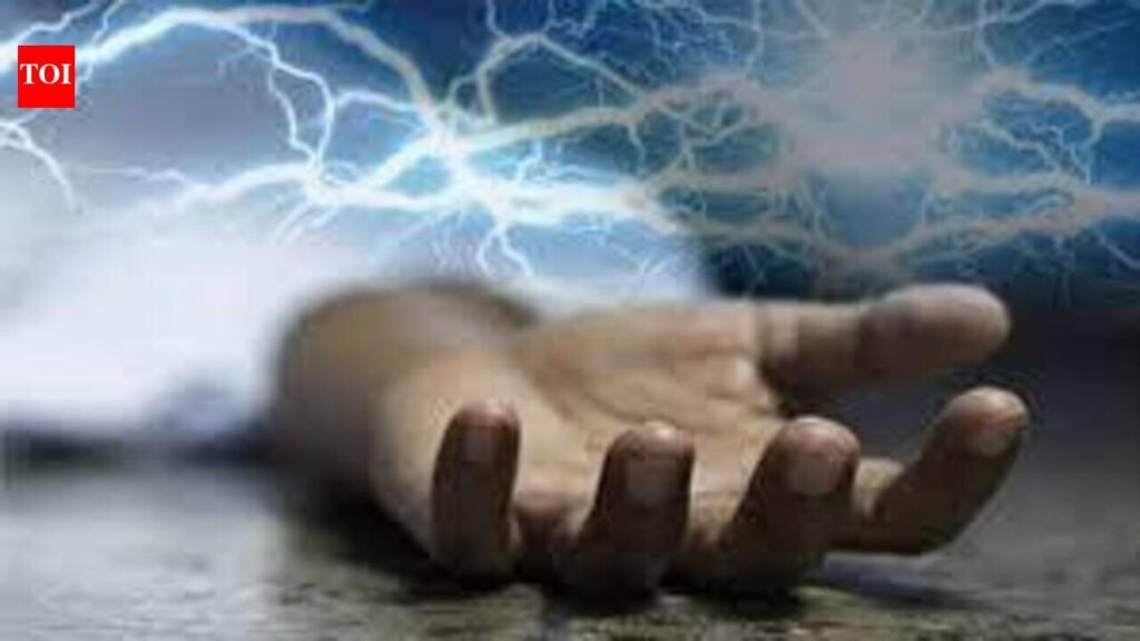 Couple among 3 electrocuted by live wire around paddy field in Sitamarhi | Patna News