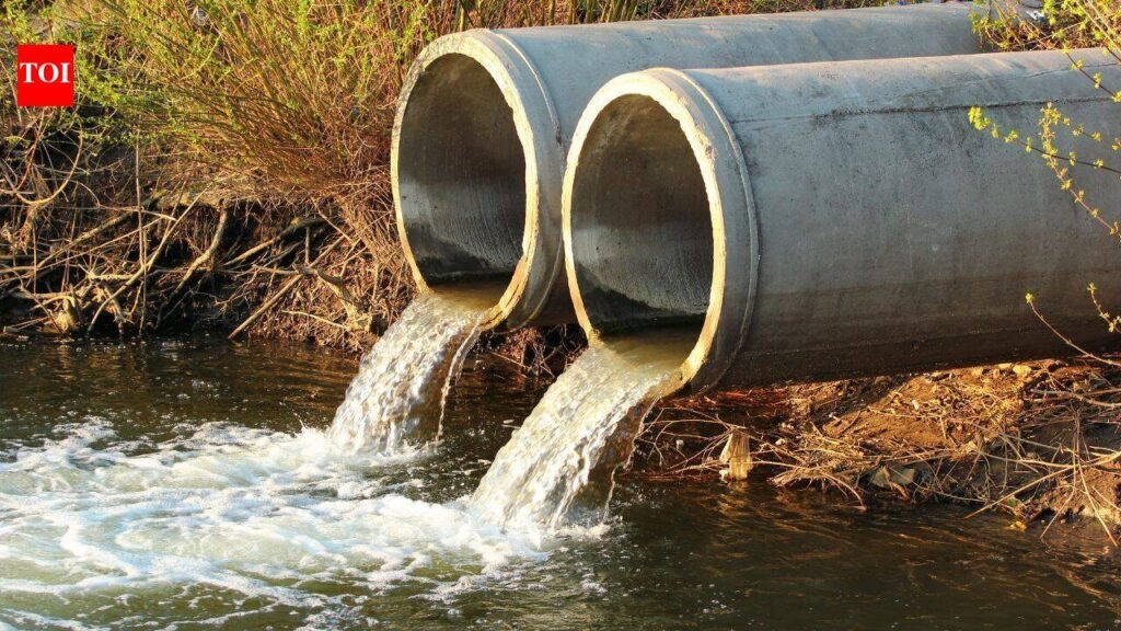 Decades of industrial pollution left Michigan’s Detroit and Kalamazoo rivers contaminated with PCBs, mercury and other chemicals; the state is now committing $89 million to clean and restore the waterways by 2040